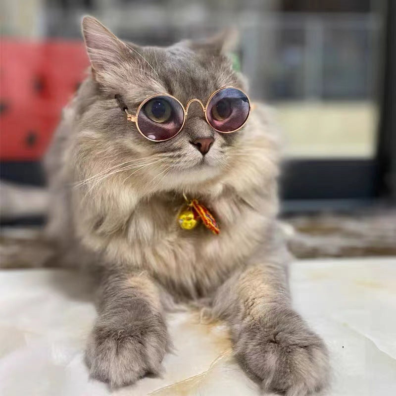 Women's fashionable round glasses Kalsten