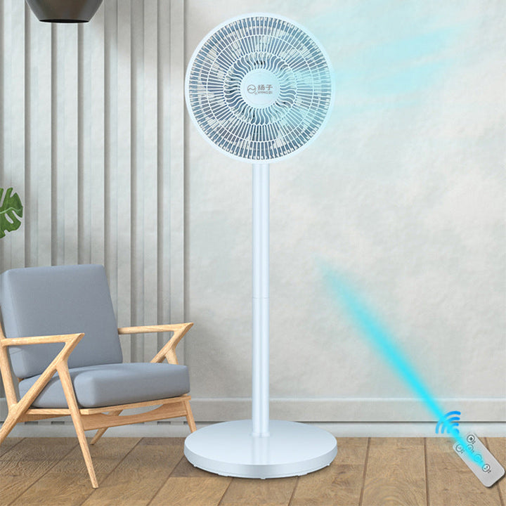 Ladies Stand Fan Kalsten