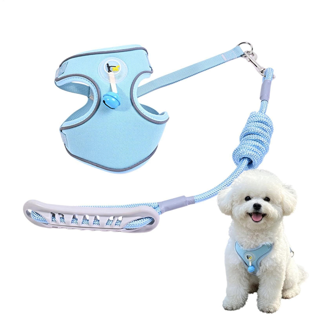 Pet harness with leash Kalsten