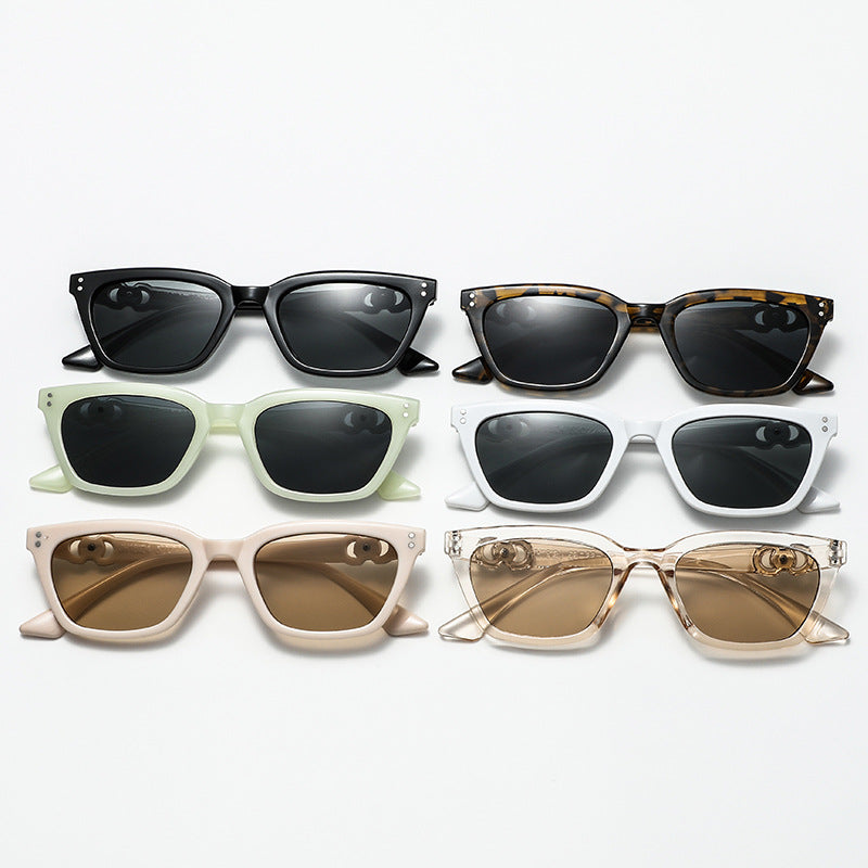 Women Elegant and fashionable sunglasses with decorative metal frame Kalsten