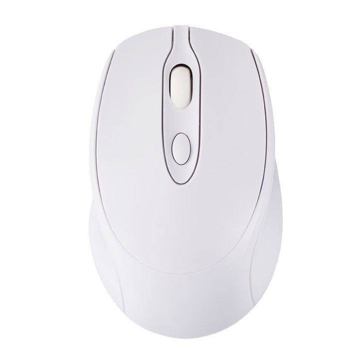 Wireless Ergonomic Optical Mouse Kalsten