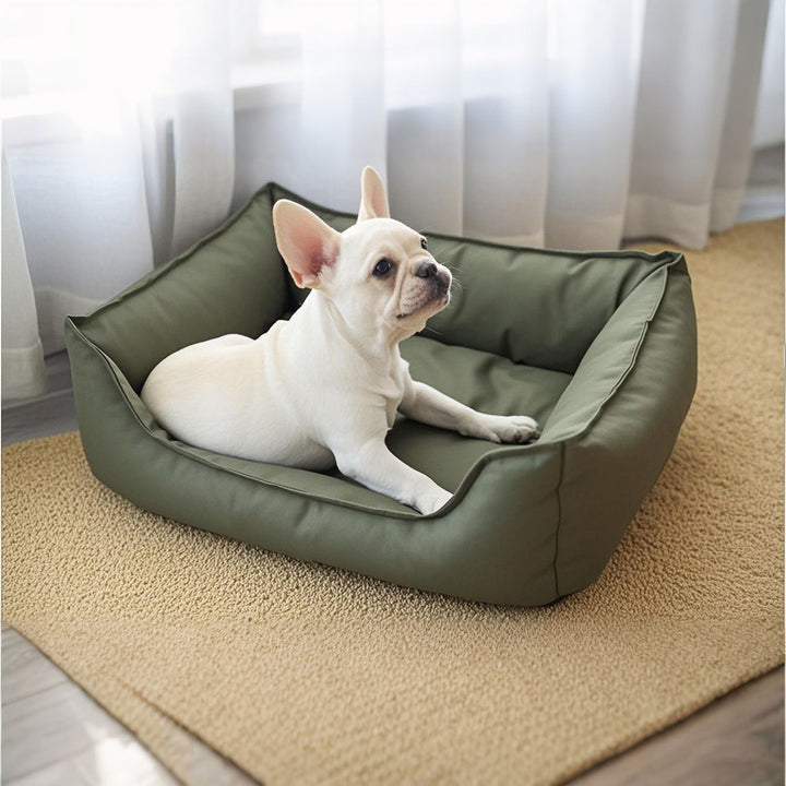 Orthopedic Dog Bed
