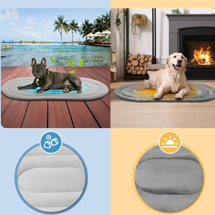 Unisex Pet Bed with Ergonomic Padding Kalsten