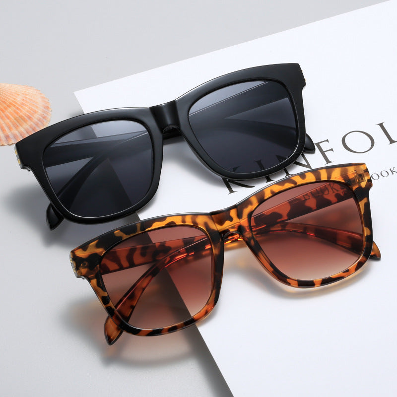 Ladies fashionable sunglasses in contemporary design Kalsten