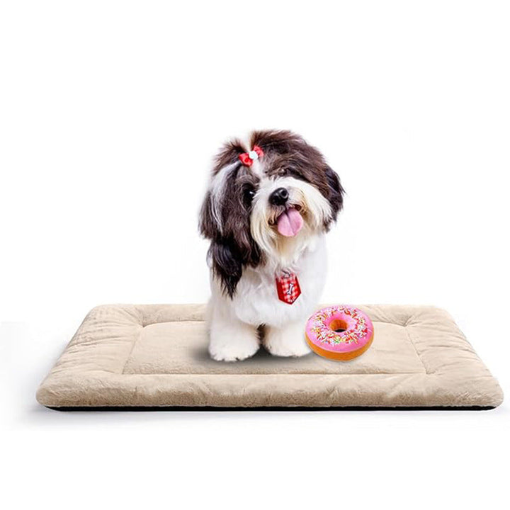 Comfort   Dog Bed