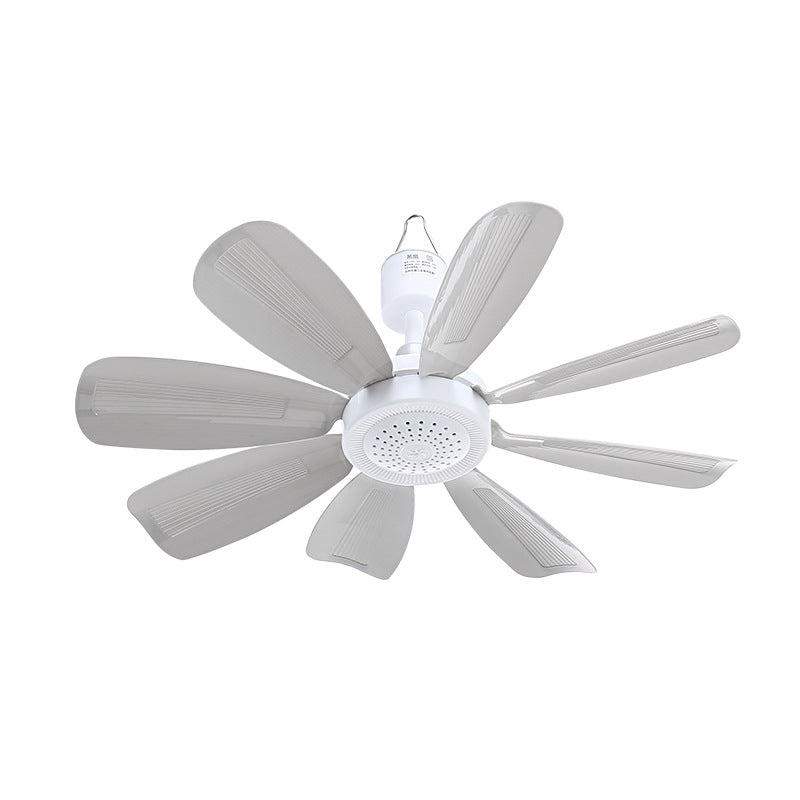 Ladies Ceiling Fan Kalsten