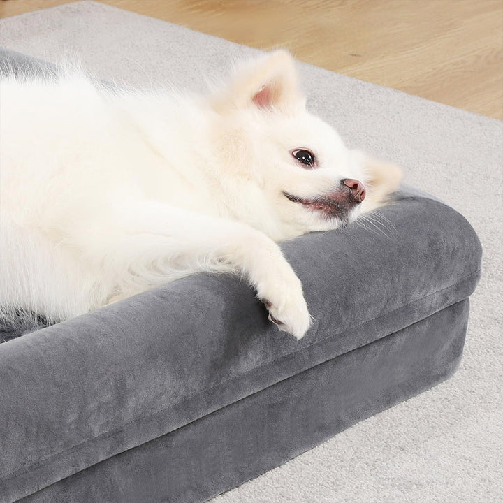 Elevated Orthopedic Dog Bed