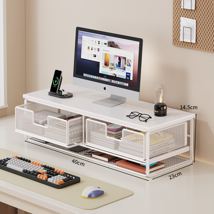Multi-Functional Wire Mesh Desktop Organizer Kalsten