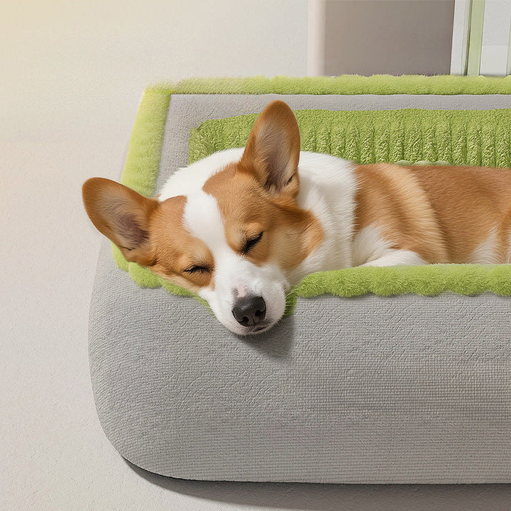 Plush Orthopedic Dog Bed
