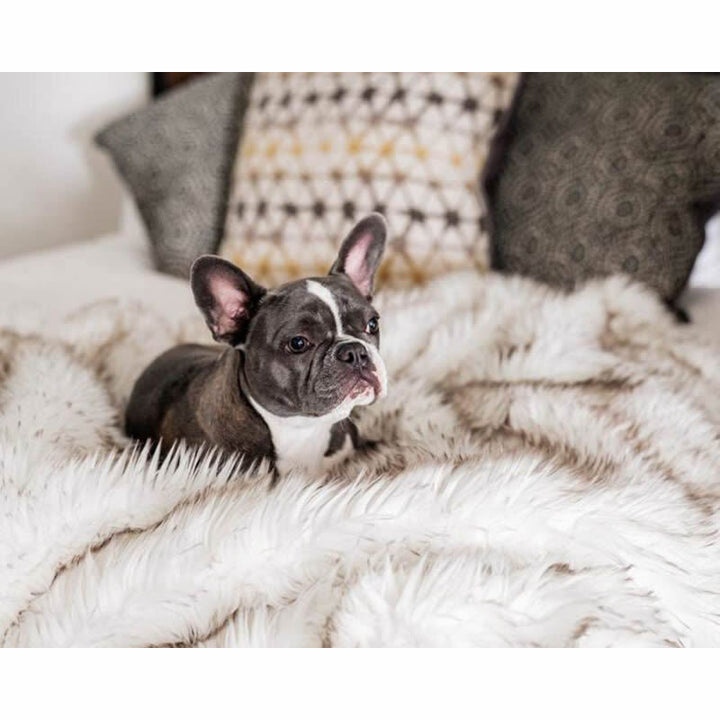 Unisex Snuggle Blanket Kalsten