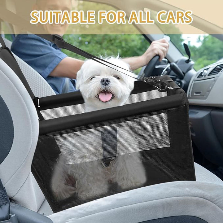 Safety Car Seat for Dogs Kalsten