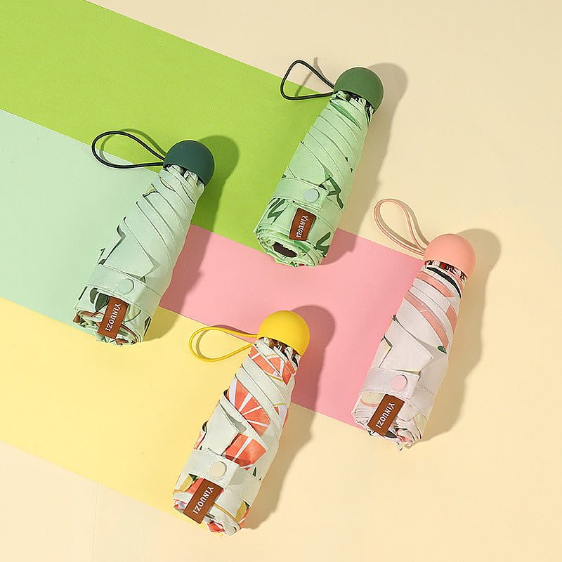 Ladies Insulated Water Bottle with Creative Avocado Packaging Kalsten