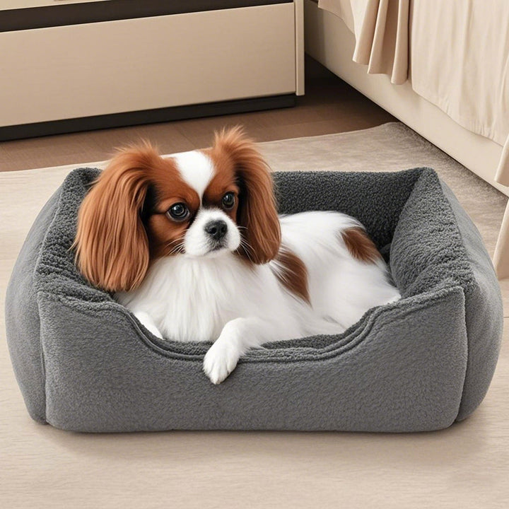 Cushioned Rectangular Dog Bed