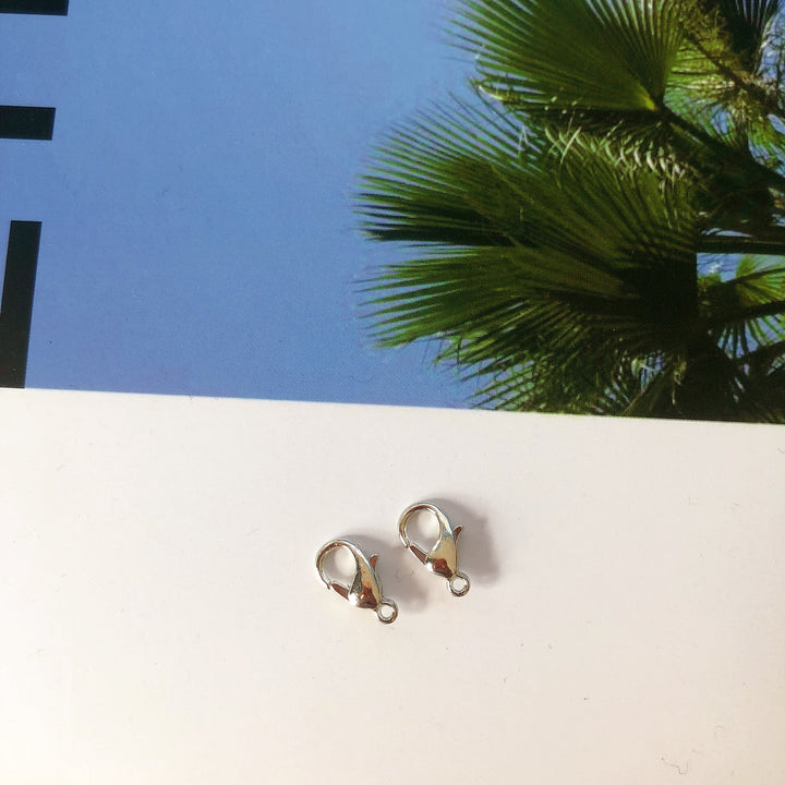 Premium Silver Lobster Claw Clasps Set Kalsten