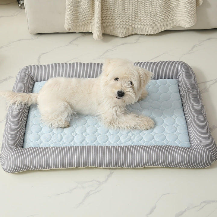 Dog Bed