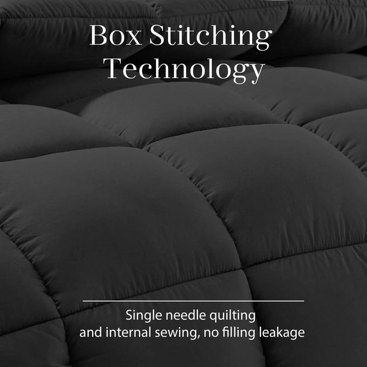 Cozy Comforter Kalsten
