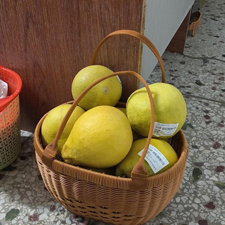 Stylish Woven Storage Basket with Comfortable Handles Kalsten