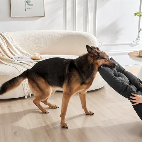 Dog Bed Kalsten