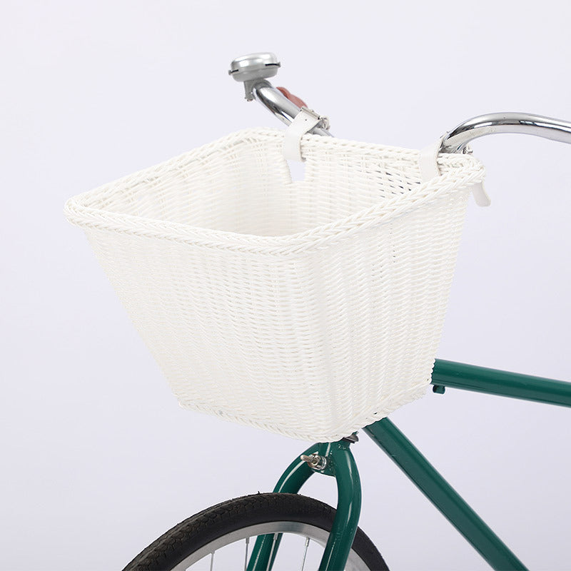 Ladies Braided Storage Basket with Two Carry Handles Kalsten
