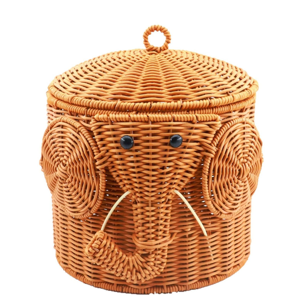 Women's Storage Basket Kalsten