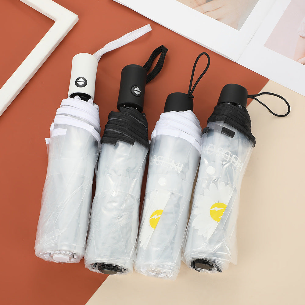 Women's compact and stylish umbrella Kalsten