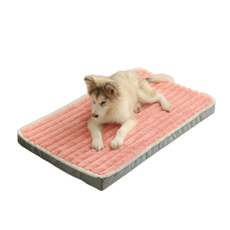 Dog lying surface Kalsten