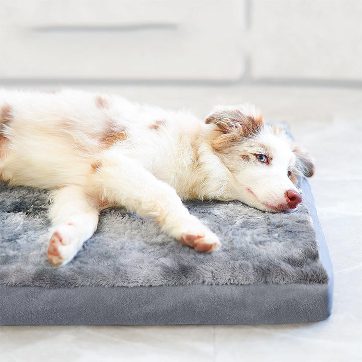 Luxurious Plush Pet Resting Cushion Dog Bed