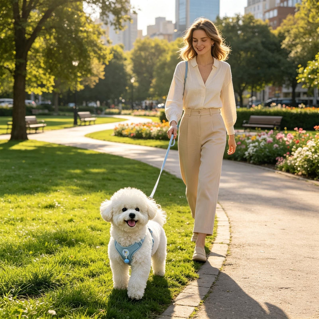 Pet harness with leash Kalsten