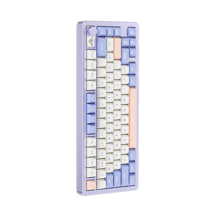 Compact Ergonomic Mechanical Keyboard Kalsten