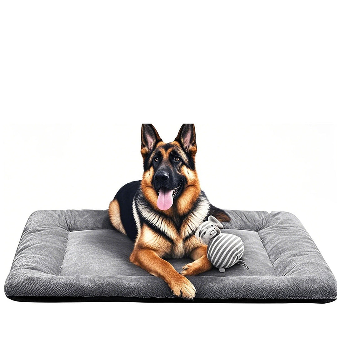 Orthopedic Supportive Dog Bed