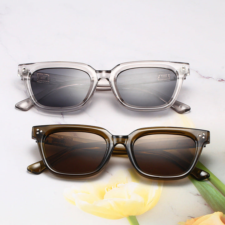 Fashionable Acrylic Sunglasses in Modern Design Kalsten