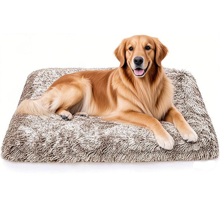 Luxurious Orthopedic Dog Bed