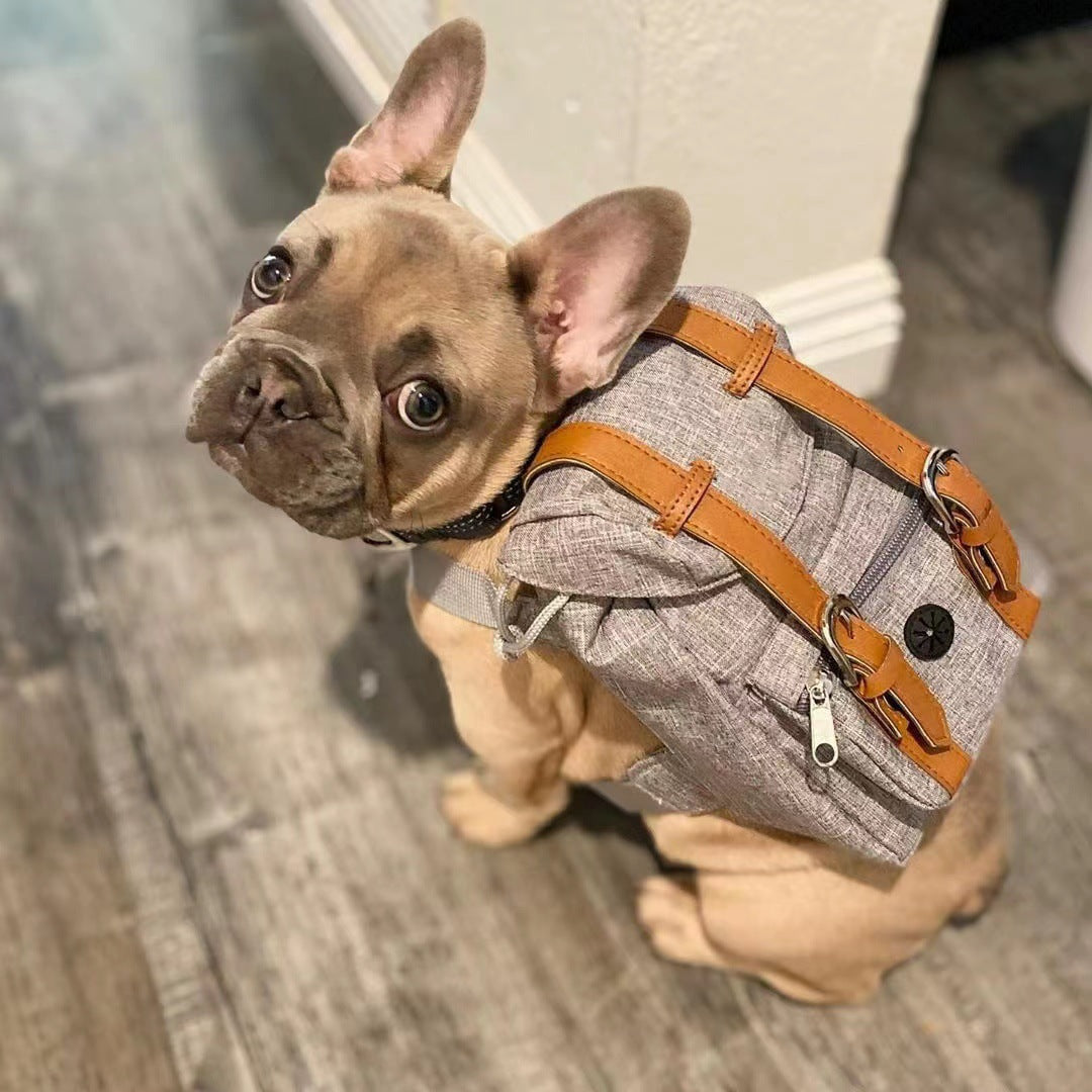 Unisex practical pet backpack with safety closure Kalsten