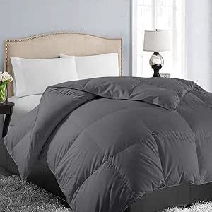Luxurious All-Season Down Alternative Comforter Kalsten