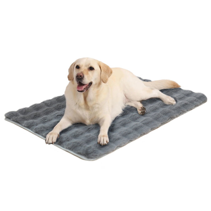Unisex Cozy Dog Pillow Kalsten