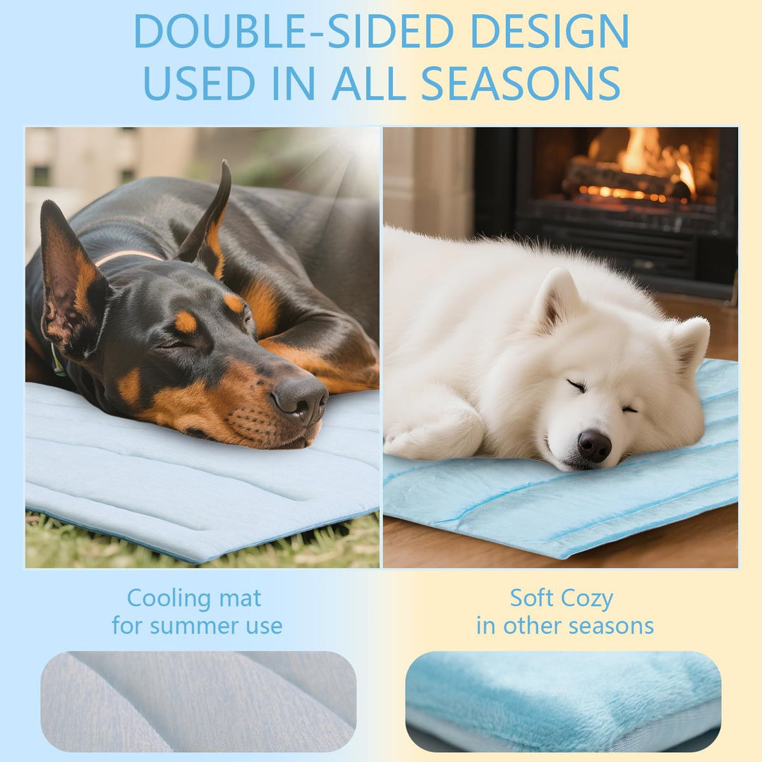 Tier Snuggle Blanket Kalsten