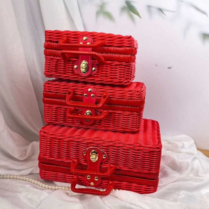 Women braided cosmetic and storage case Kalsten