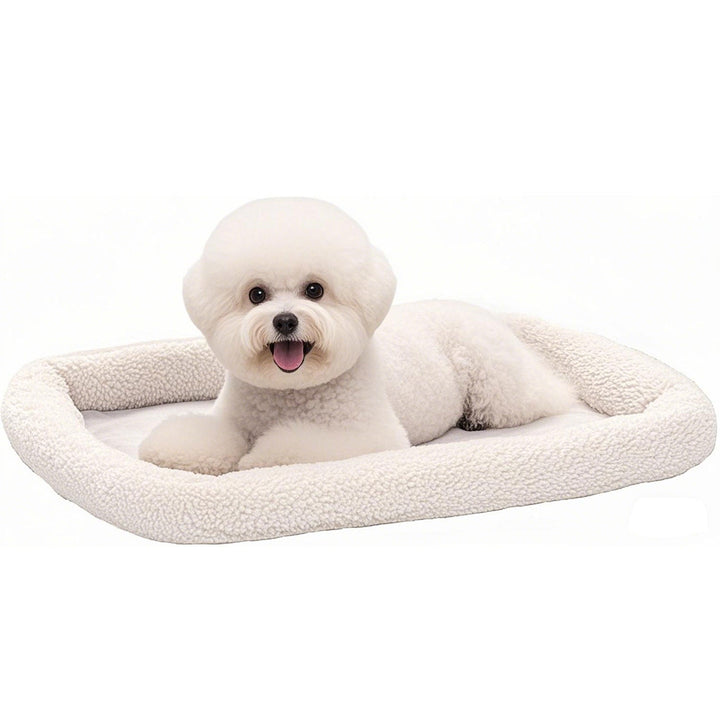 Orthopedic Supportive Dog Bed
