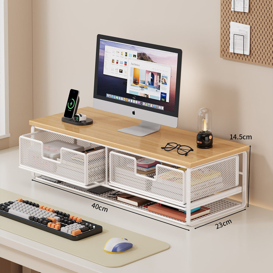 Multi-Functional Wire Mesh Desktop Organizer Kalsten