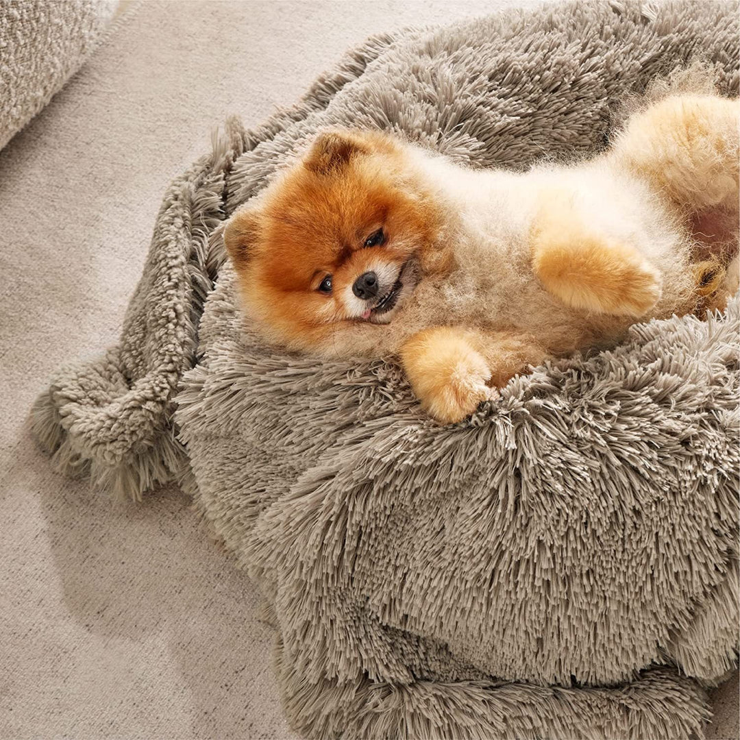 Ladies cuddly blanket made of high-quality fleece Kalsten