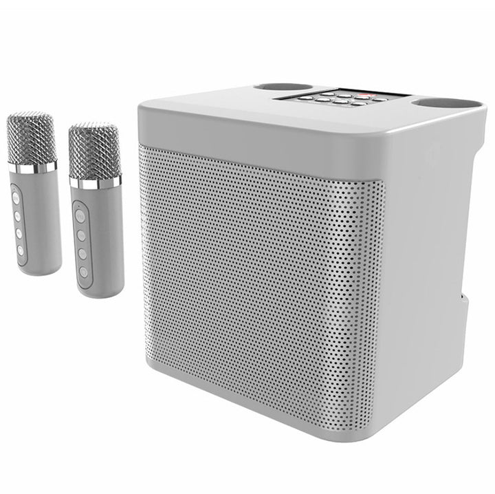 Karaoke System Kalsten