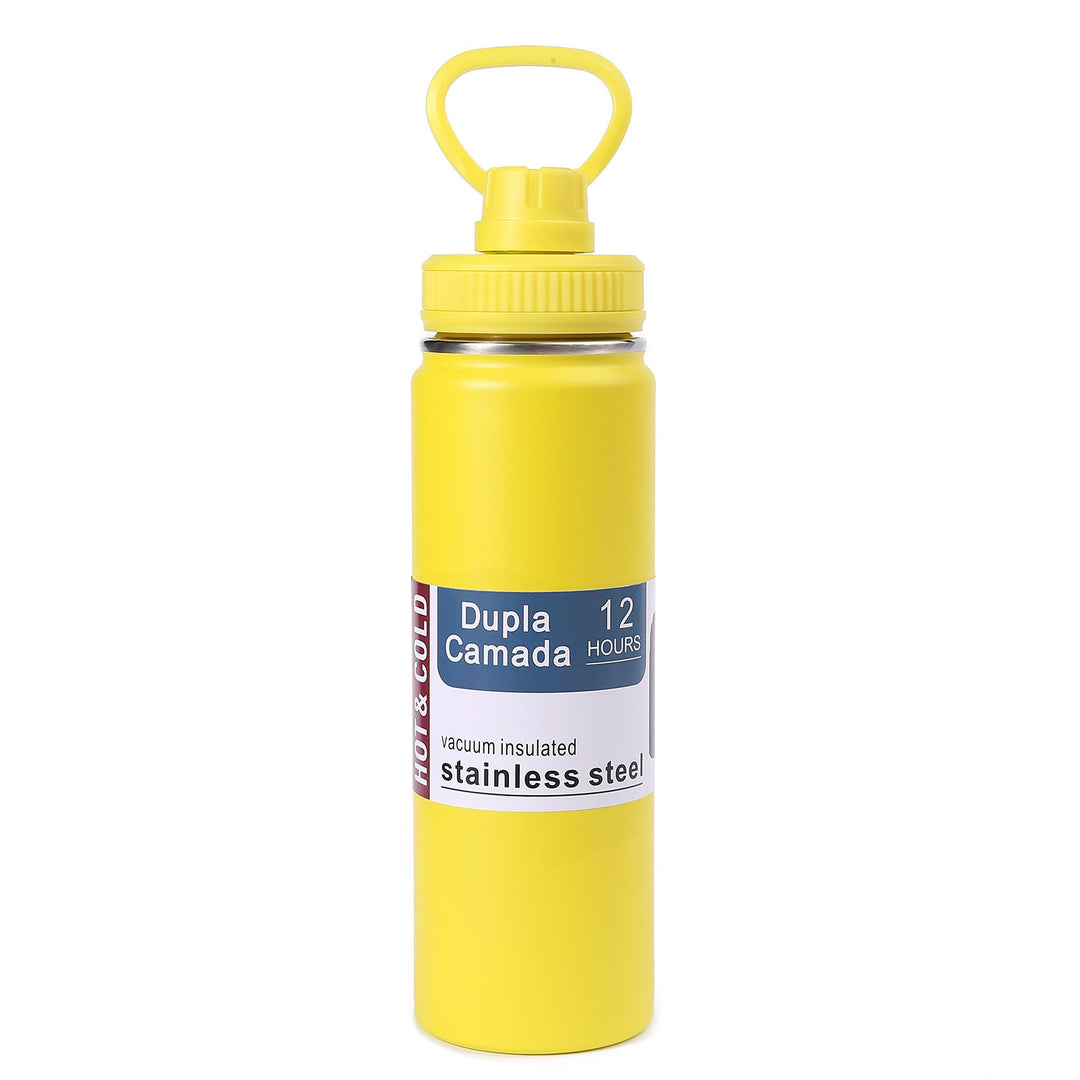 Ladies stainless steel vacuum water bottle with ergonomic handle Kalsten