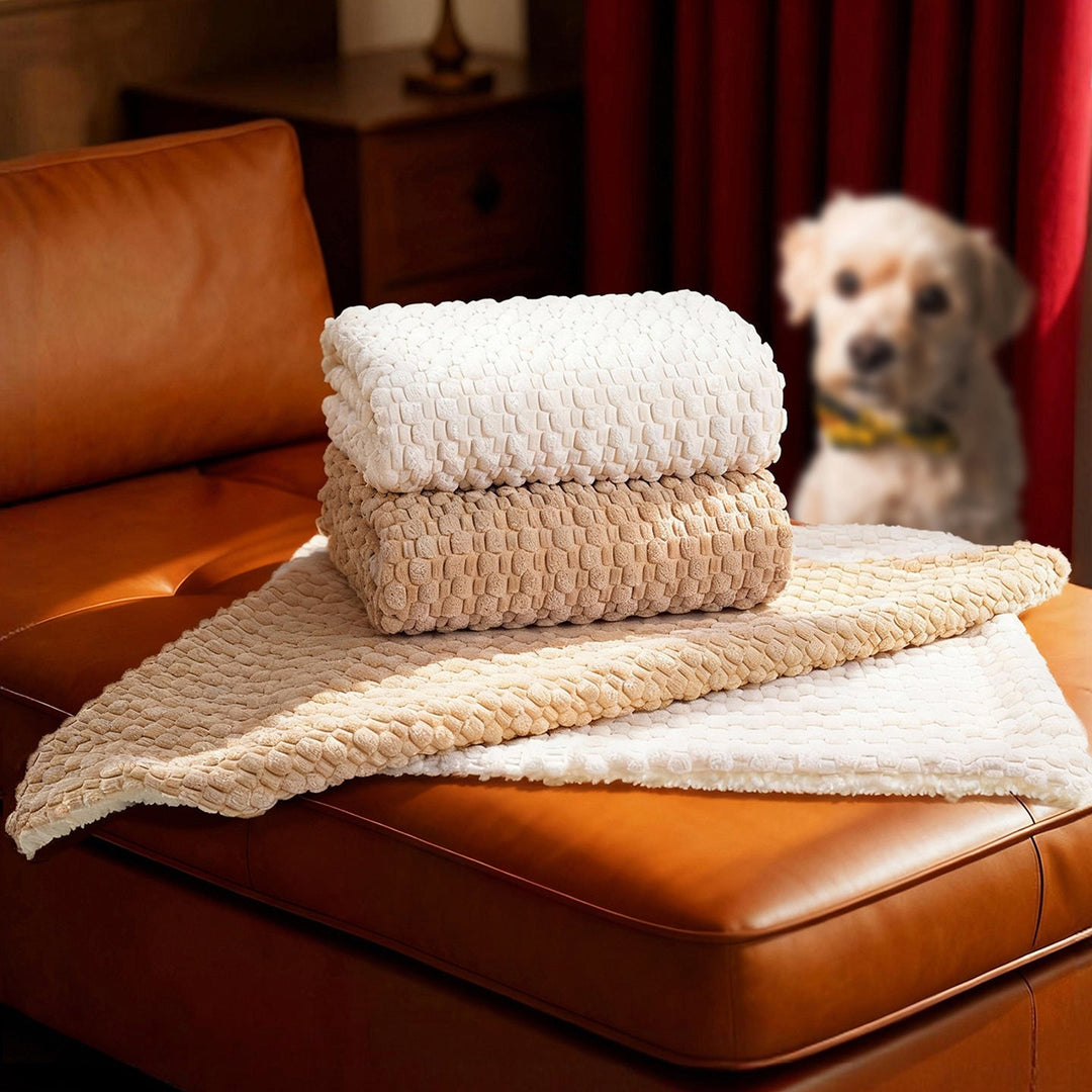 Women's Cozy and Reversible Blanket with High-Quality Surface Texture Kalsten