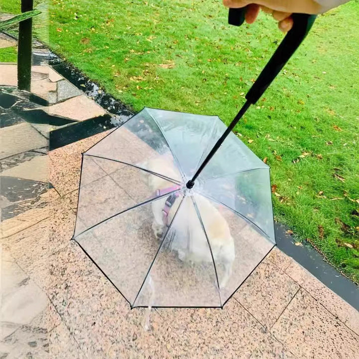 Women Transparent Rain Cape Kalsten