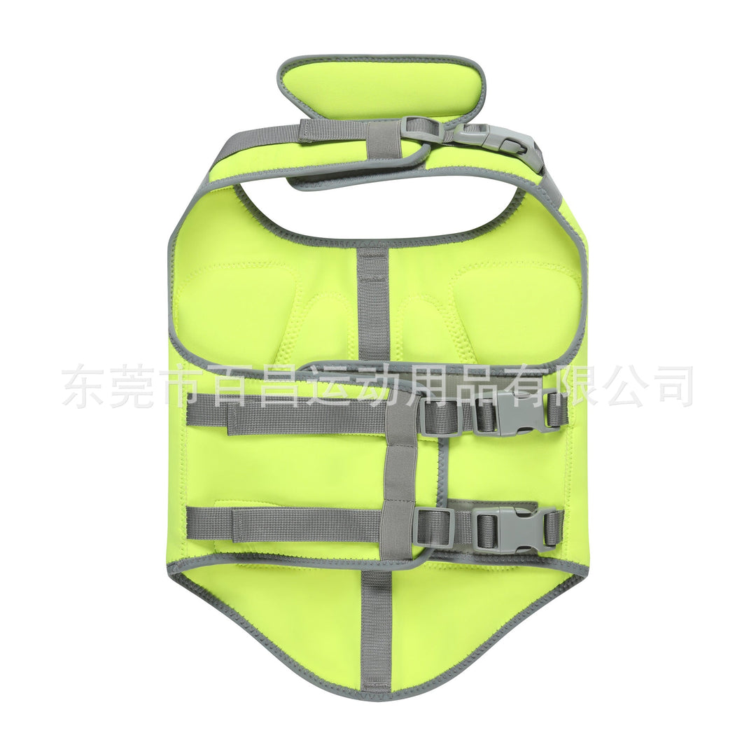 Safety Harness