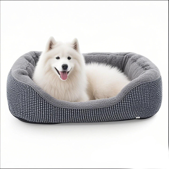 Cozy Bolstered Dog Bed