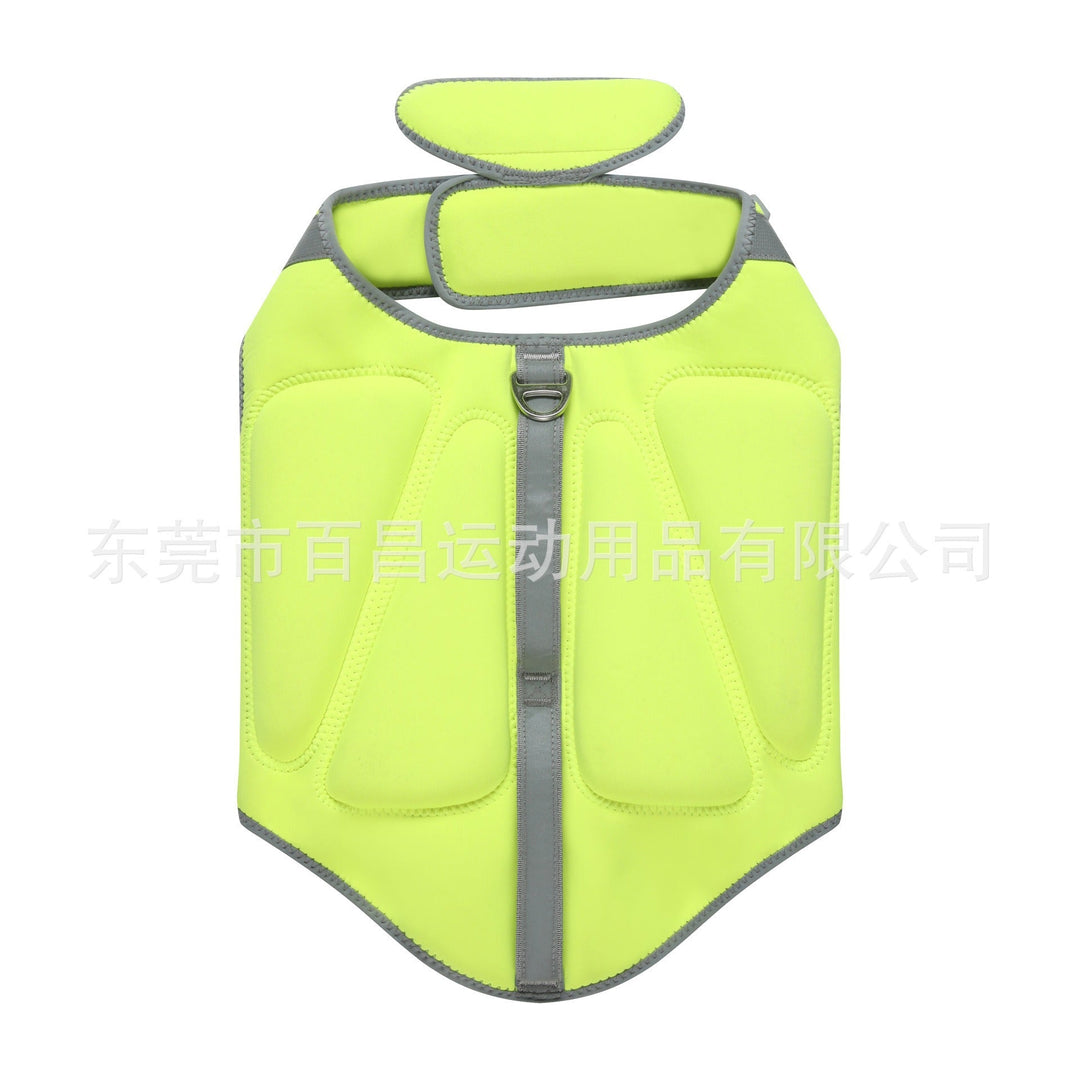 Safety Harness