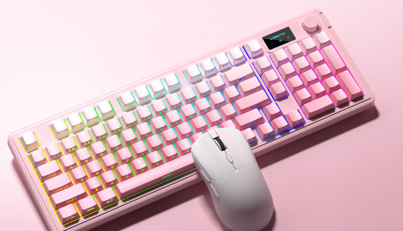 Ergonomic Mechanical Keyboard Kalsten