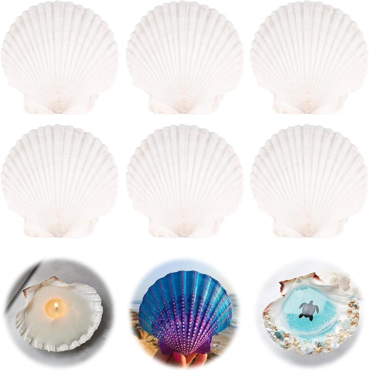 Unisex Creative Craft Set with Shells and Colors Kalsten