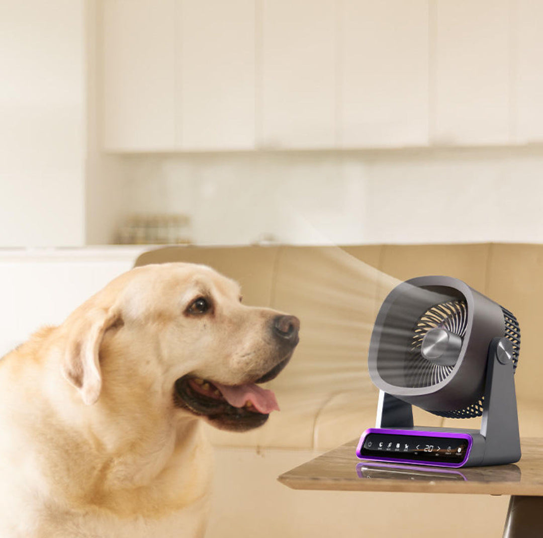 Air Circulator Kalsten